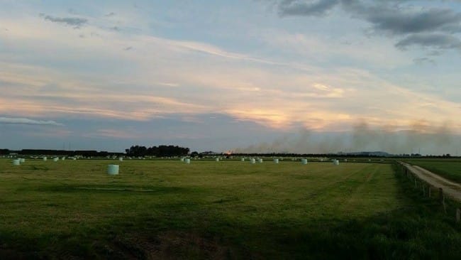 bluff fire