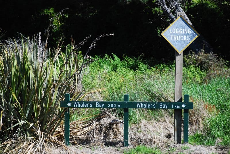 sandypoint