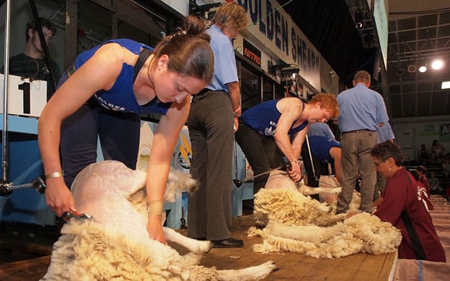 shearing