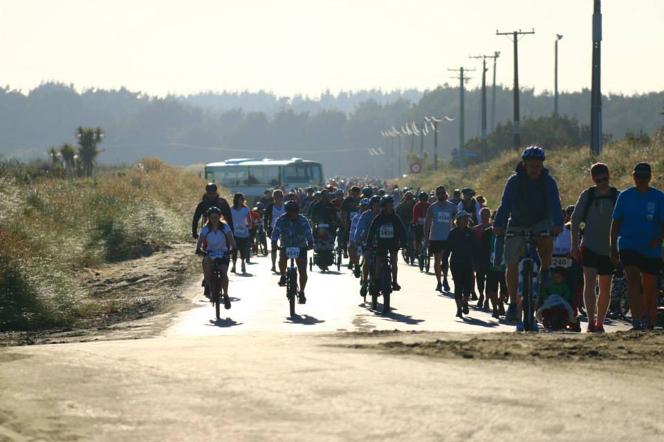surf to city
