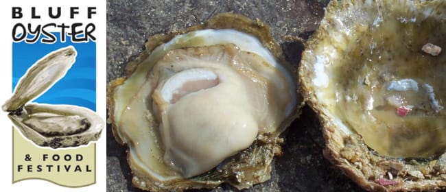 bluffoyster