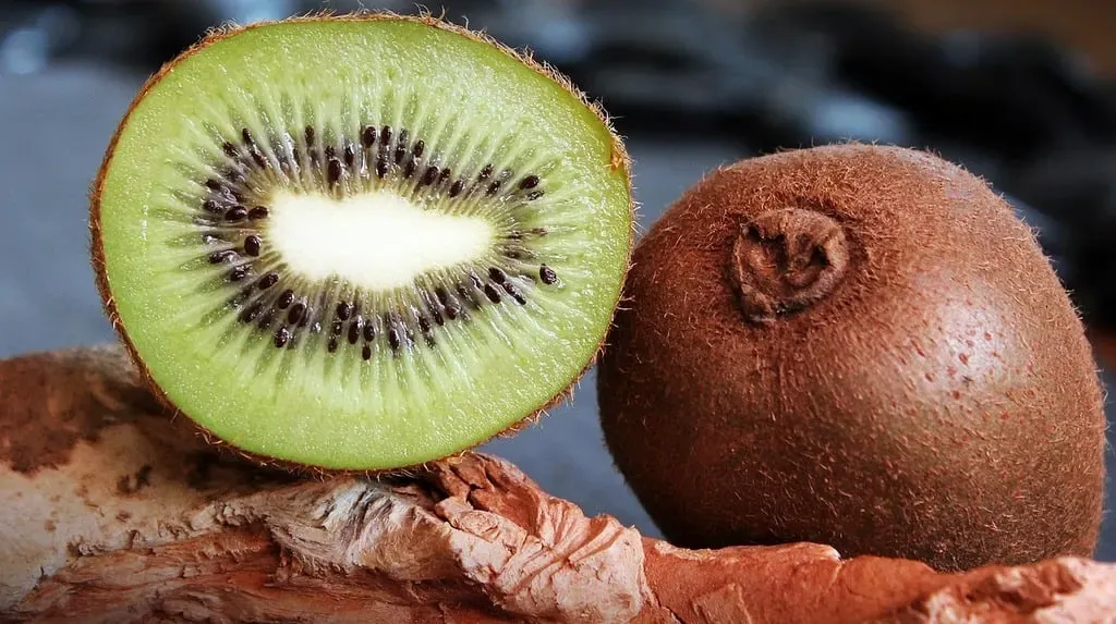 Kiwifruit Exports Hit Record $3.1 Billion