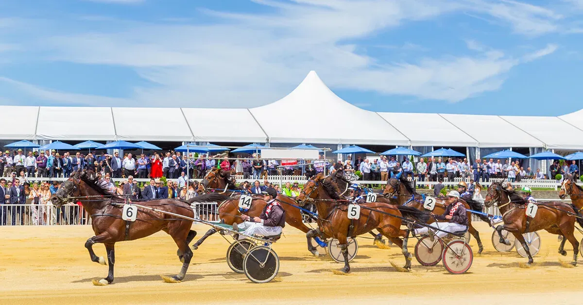 NZ Trotting Cup - The Big Dance