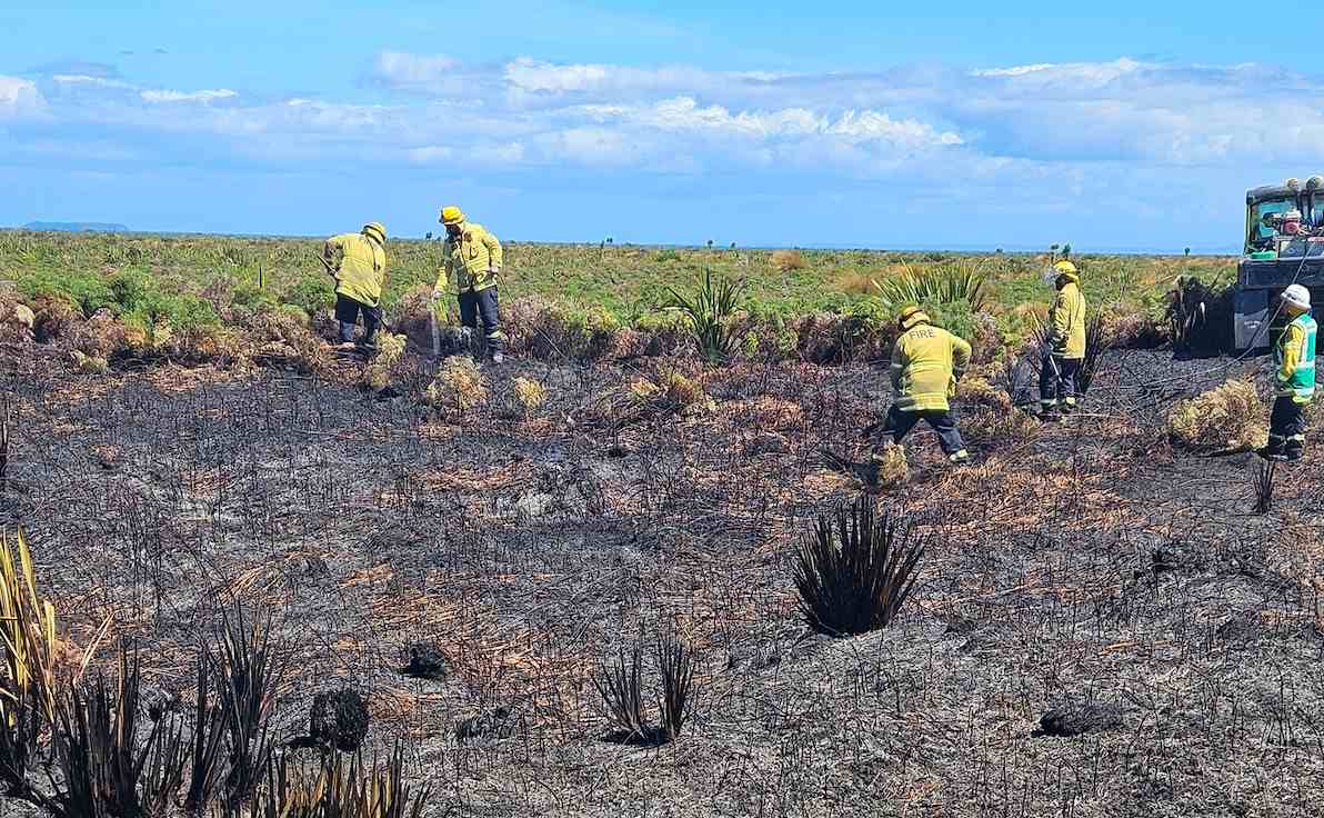 Investigation Underway as Crews Win Battle Against Vegetation Fire