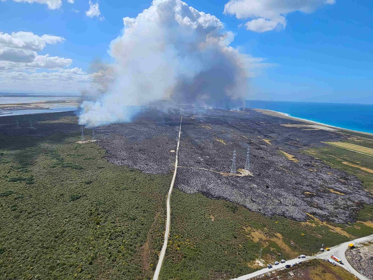 Tiwai Peninsula Vegetation Fire Update