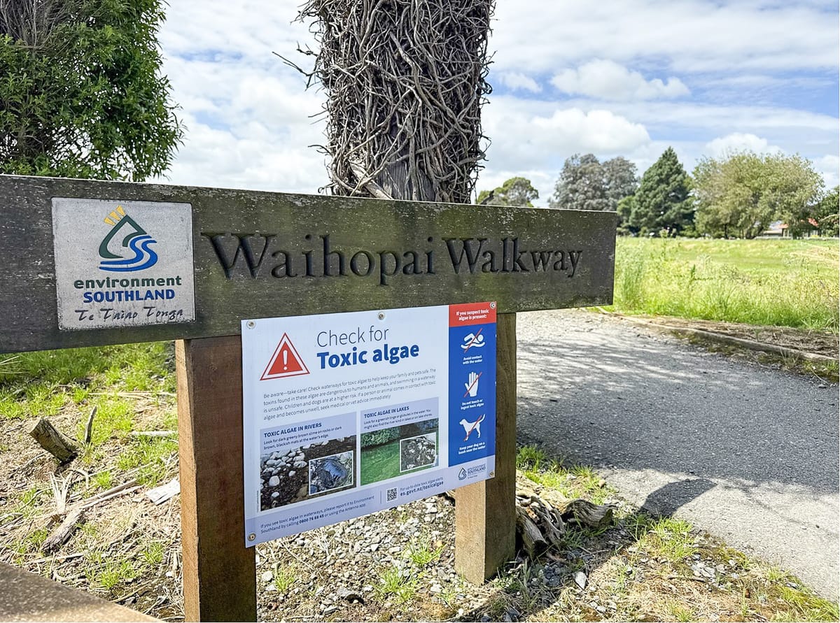 Toxic Algae Found In Waihopai River