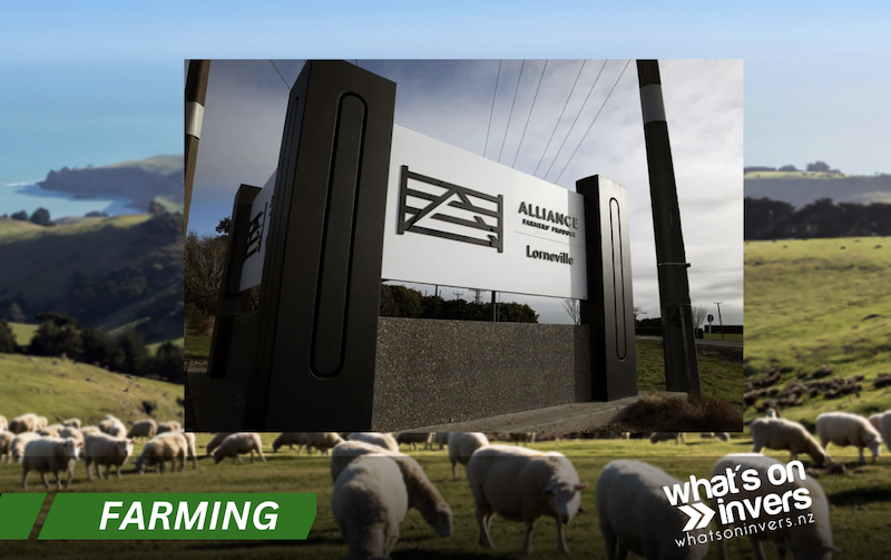 Alliance Group To Partner With Dawn Meats