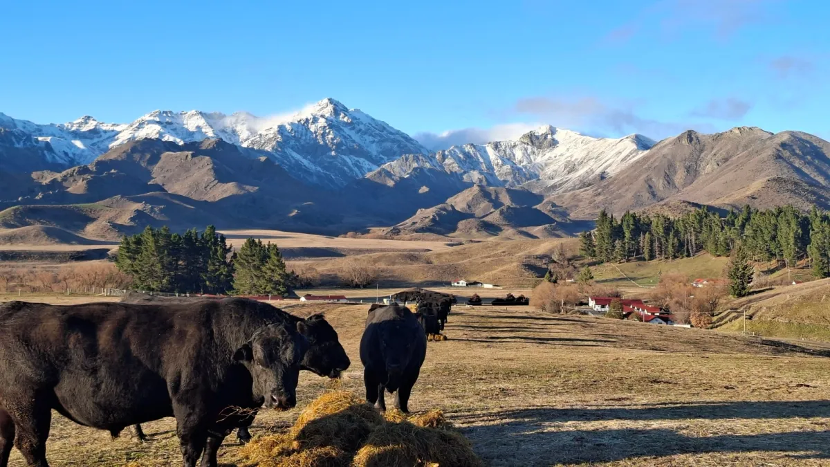 New Model Opens Pathways To Farm Ownership For Kiwis