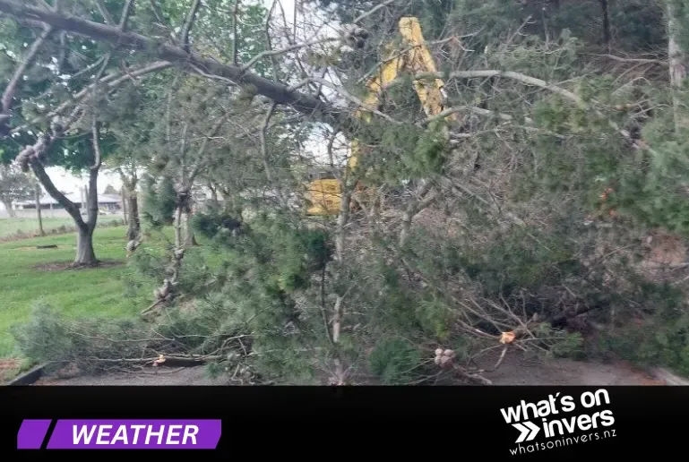 Strong Winds Batter Southland – Trees Down, Road Closures
