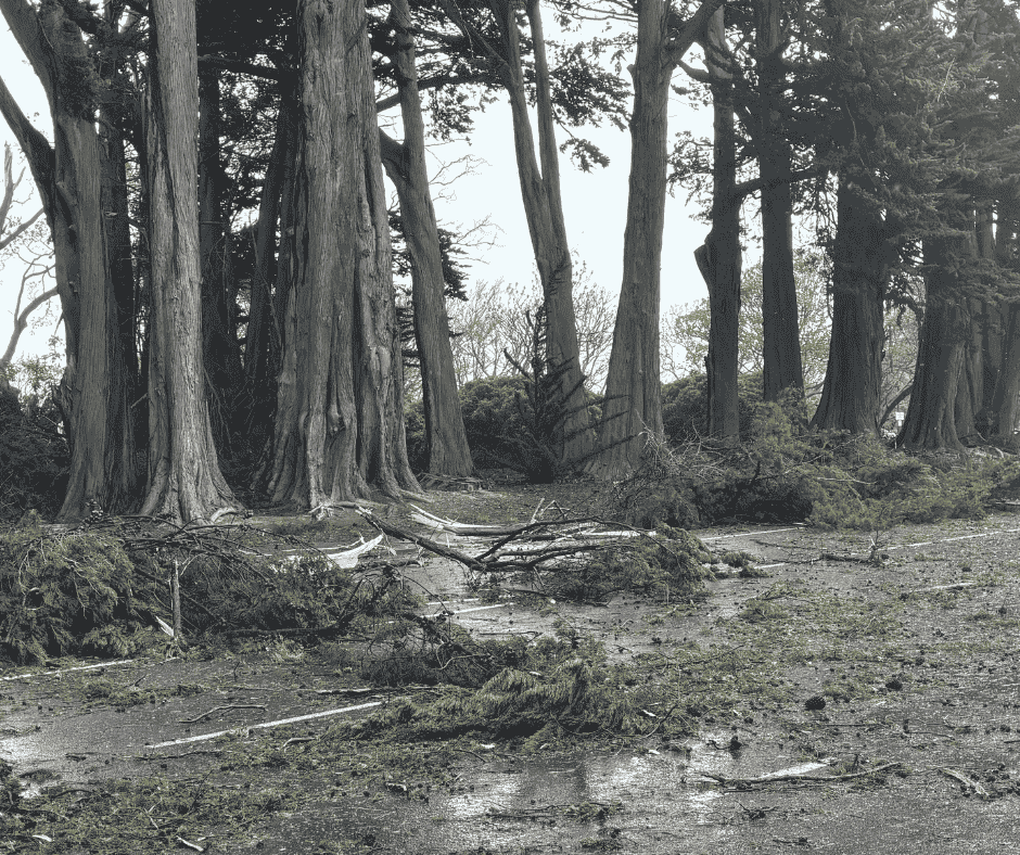 Emergency Management Southland Update