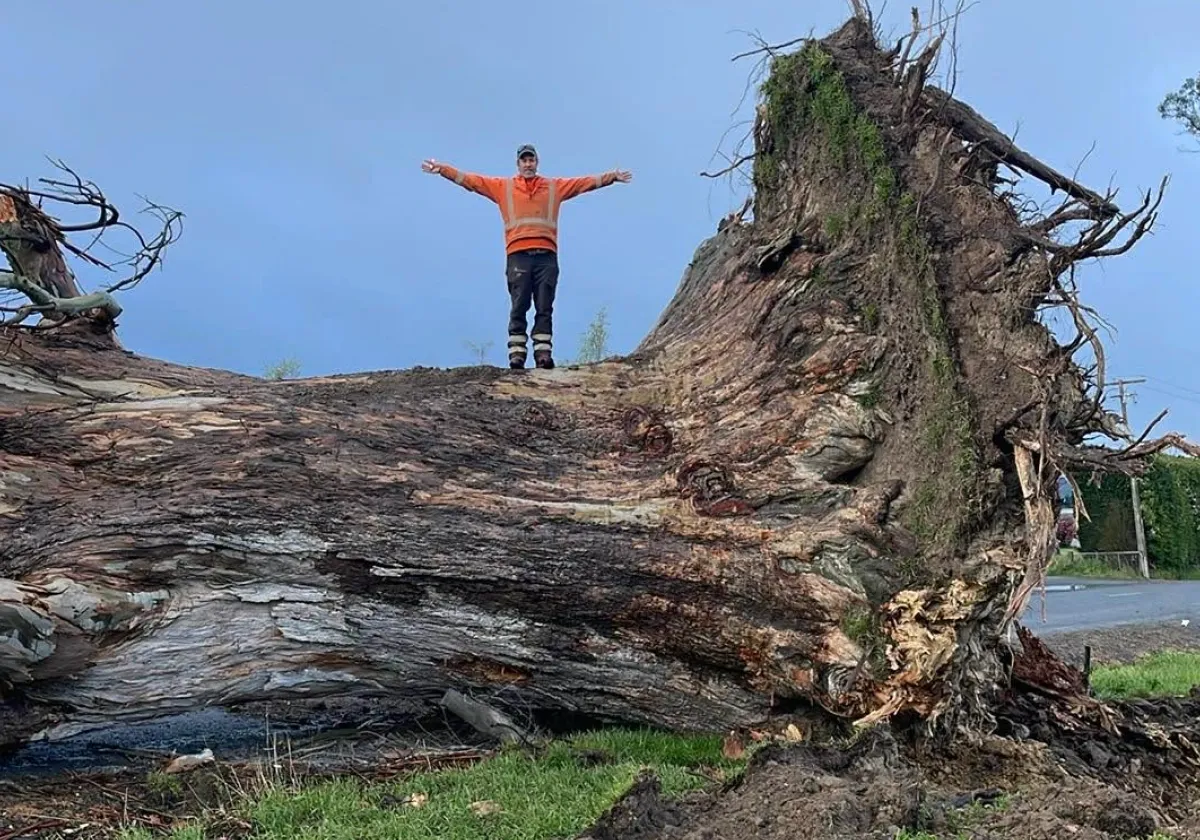 Power And Safety Focus After Southland Storm