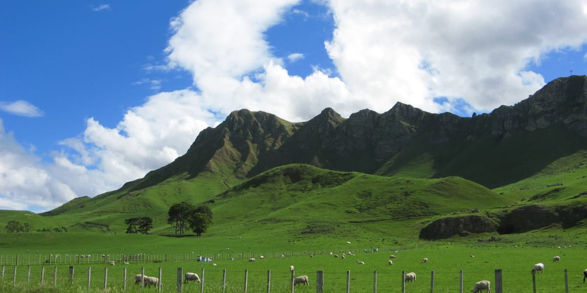 Farm Plastics Recycling Scheme Gets Green Light