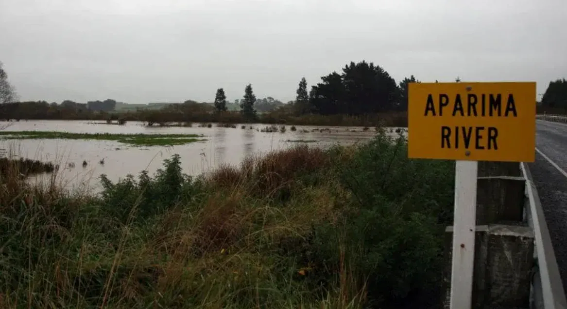 Toxic Algae Found In Aparima River