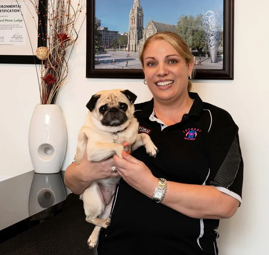 Gold accreditation awarded to Ashford Motor Lodge