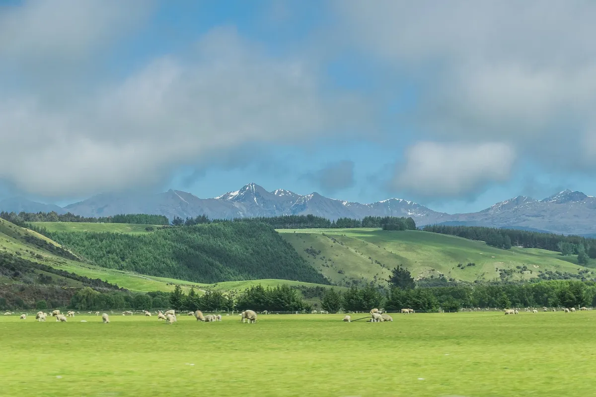 Tourism and Horticulture Ventures Approved for South Island Pastoral Leases