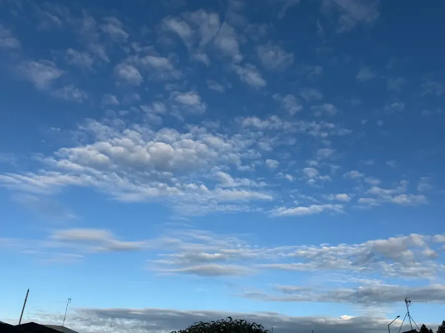 Invercargill Weather: Mild Saturday, Rain Tonight, Cooler Sunday