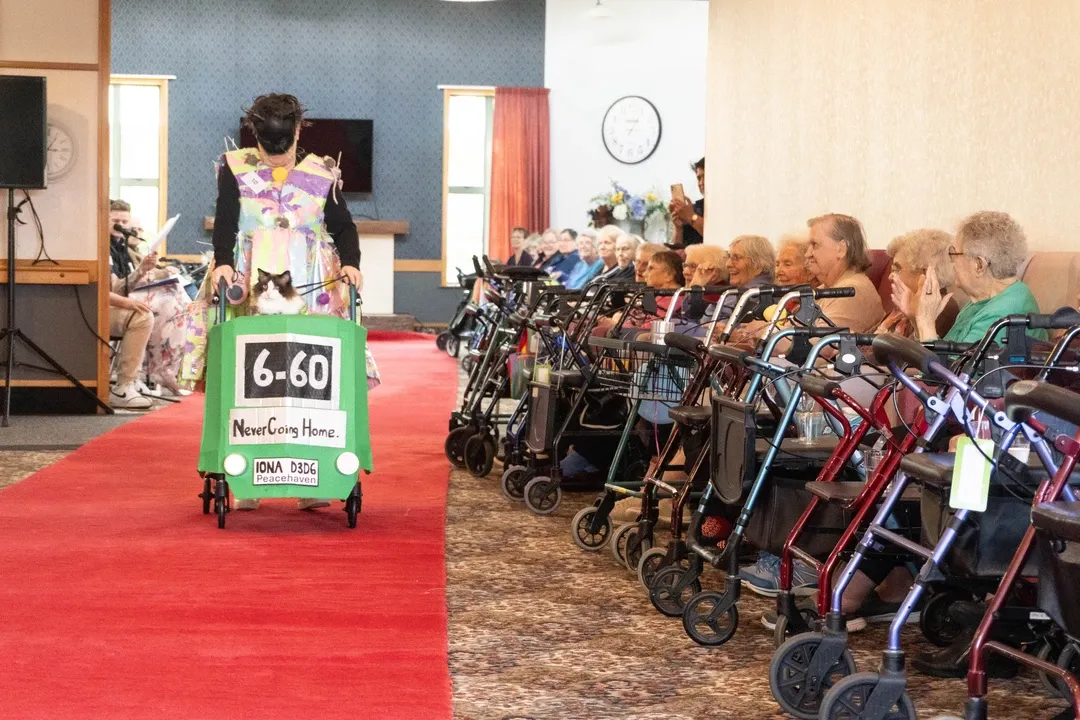 Seniors Runway Show Moves To Bigger Venue