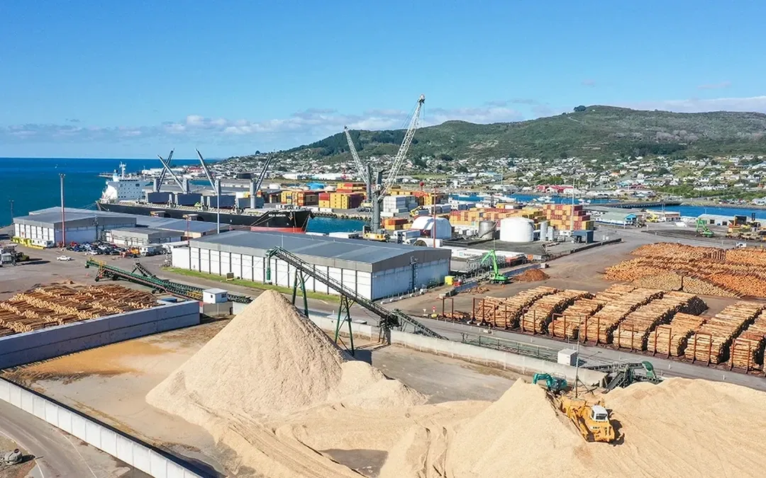 Environment Southland Cuts South Port Stake For $30m