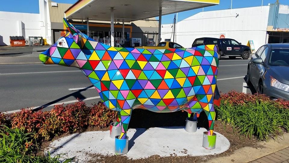 Herd Of Cows Takes Over Morrinsville