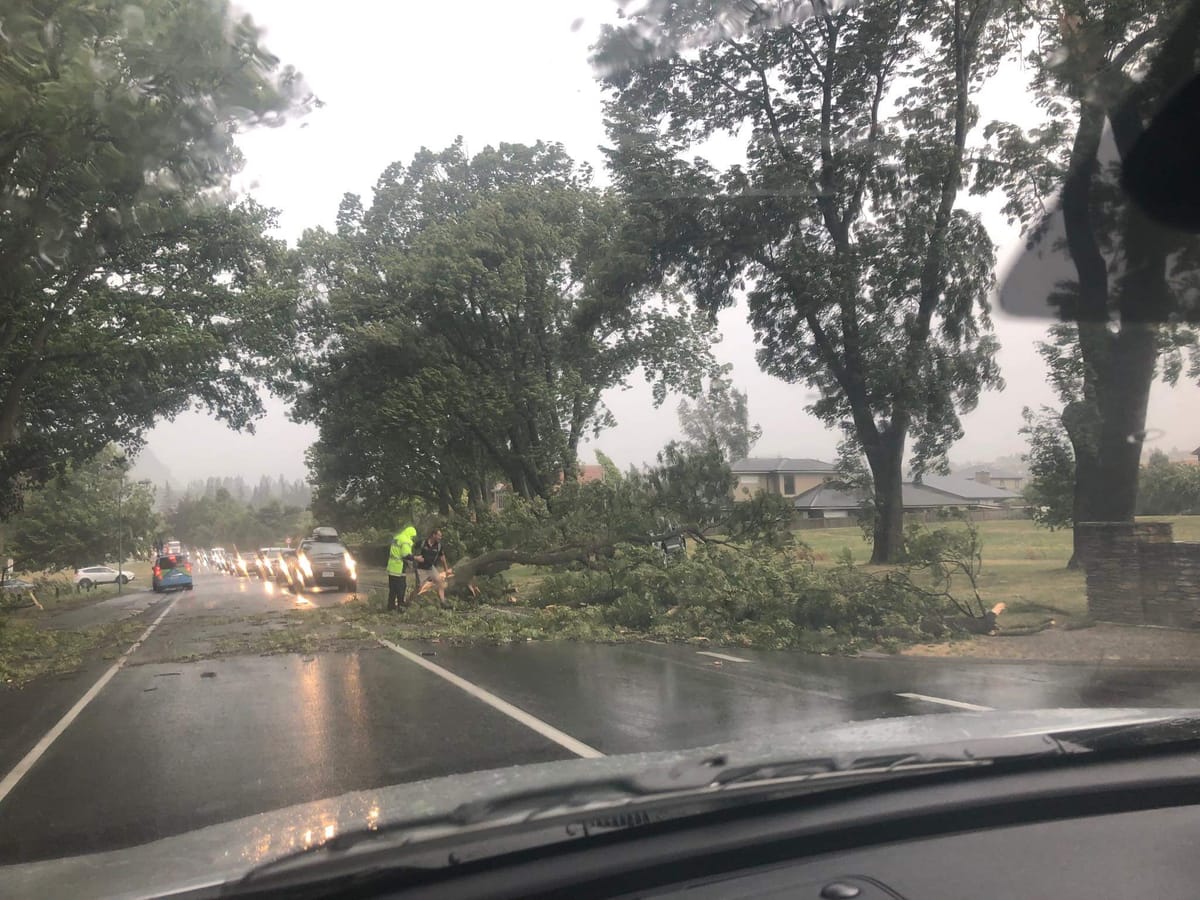 Trees Down in the Queenstown, Wanaka and Central Otago Areas