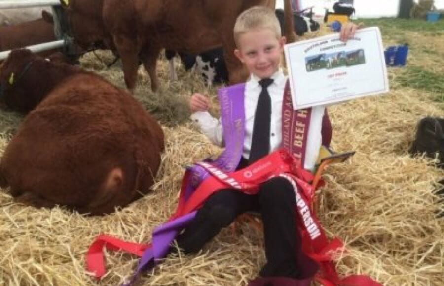 Cattle Section Back With A Twist For 2019 Southland A&P Show