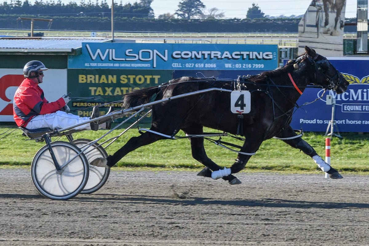 Weekend Harness Racing Returns