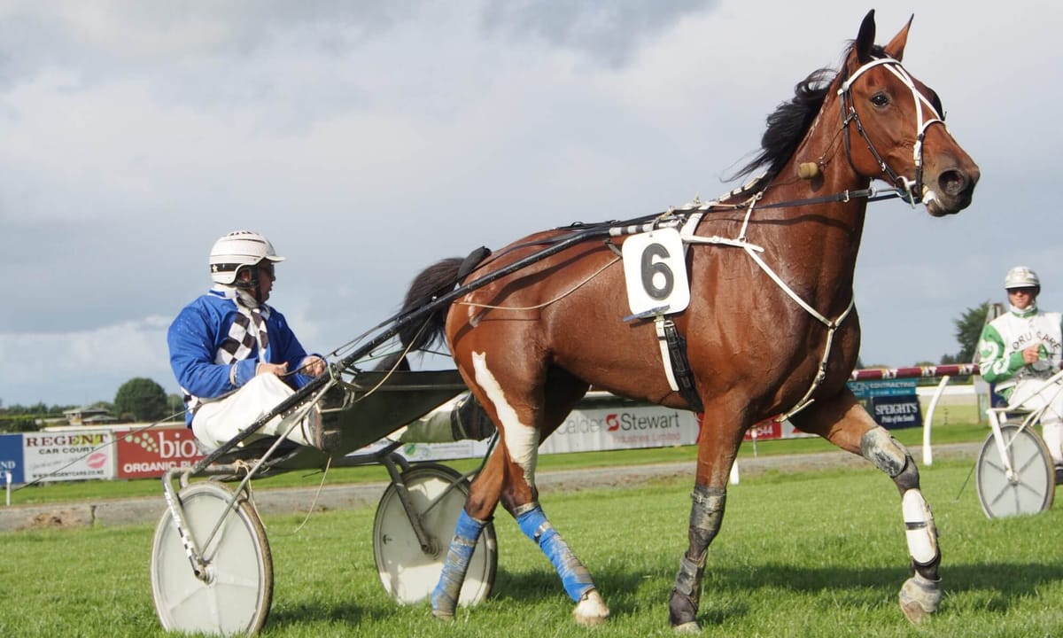 Pick Five at Riverton Trotting Club Meeting