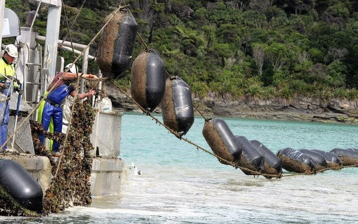 Aquaculture Direct Aims for Nationwide Marine Farming Expansion