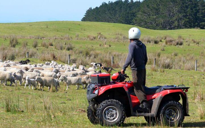 US Pandemic Crisis Stalls Delivery Of Quad Bikes For NZ Farmers