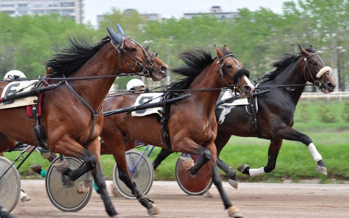 Northern Southland Trotting Club Race on Saturday