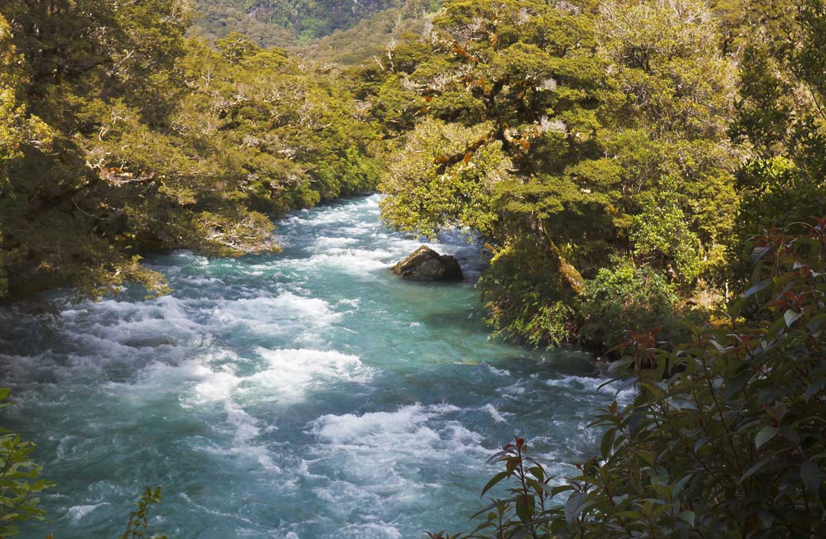 Jet Boat Crash, Fiordland National Park