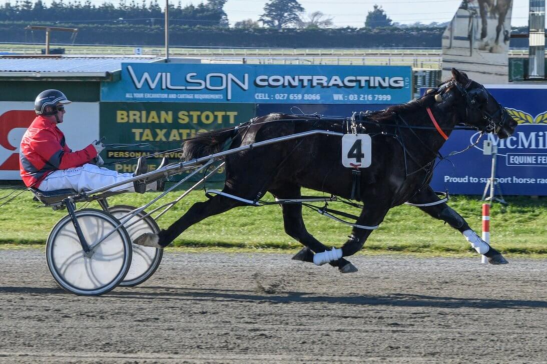 Good Day of Harness Racing Planned for Invercargill