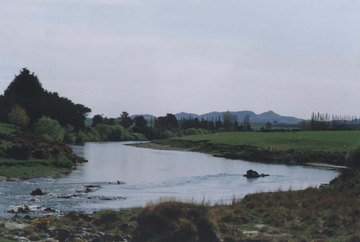 Toxic Algae Found in the Mataura River