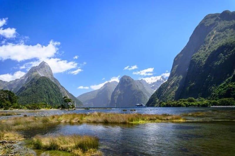 Seal-watching Boat With 39 Tourists Onboard Crashes Into Rock In Milford Sound