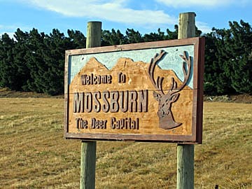 Silver Fern Farms Proposing To Close Mossburn Plant