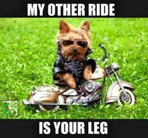 Liffey Street Subway Drive Thru Saturday Nightcap.