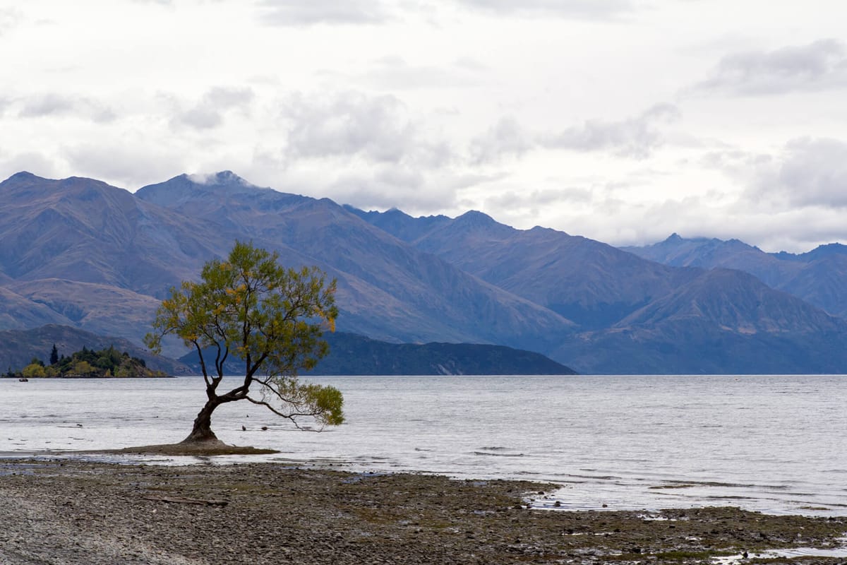 Man Missing in Lake Wanaka