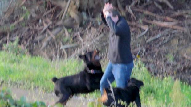 Council To Prosecute Dog Owners