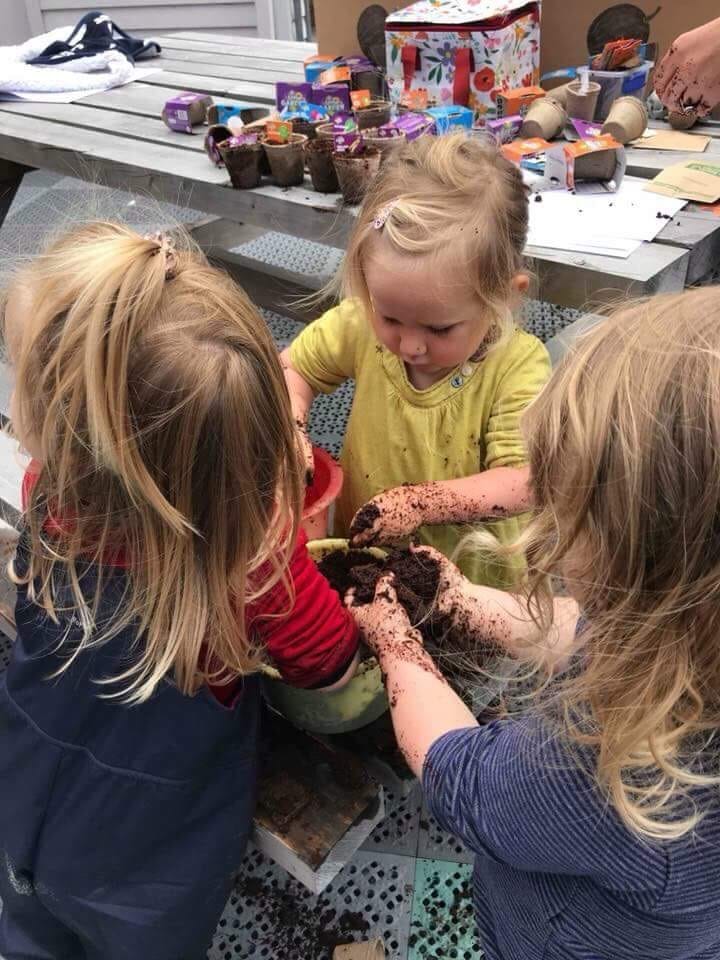 New Plunket Community Garden to Bring People Together