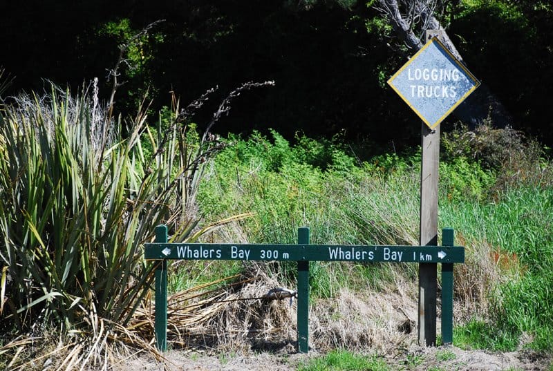 Temporary Road Closures At Sandy Point Due To Flooding