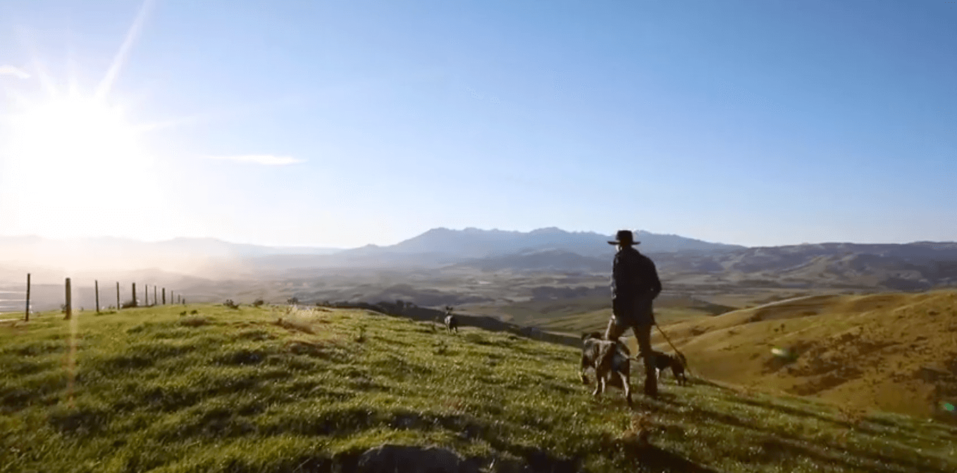 Blue Sky Meats Supreme Winner at Westpac Southland Business Excellence Awards