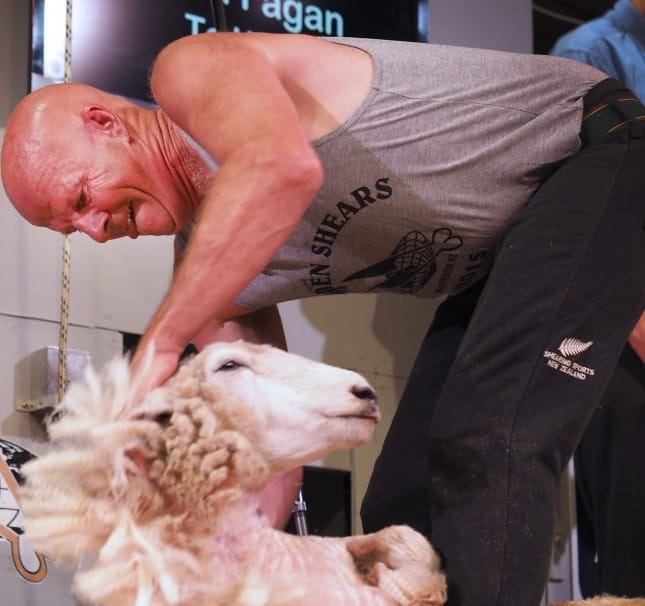 Government Backs Golden Shears World Championships With $260,000 Funding Grant