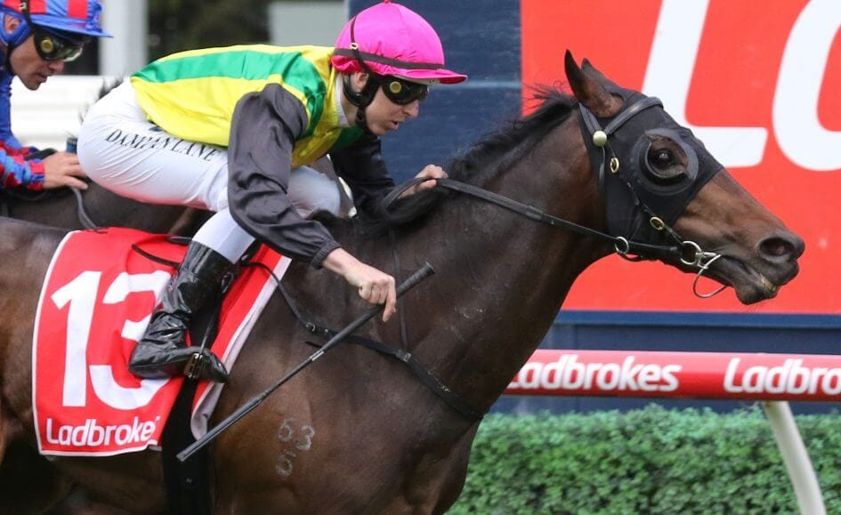 The Melbourne Cup – Support Local, The Chosen One