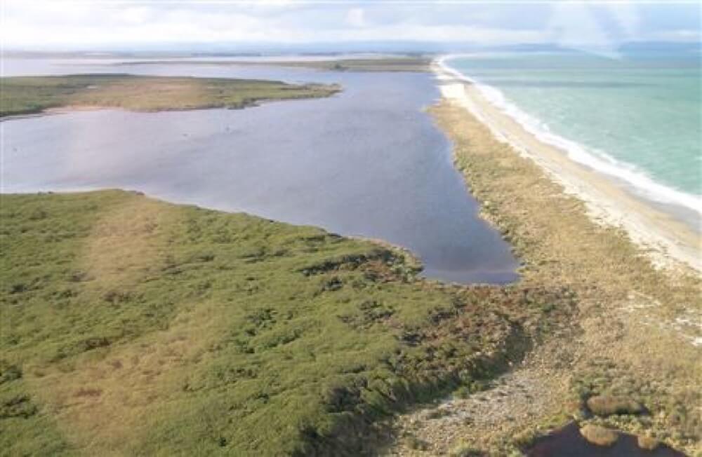 Toxic Algae Found In Waituna Lagoon