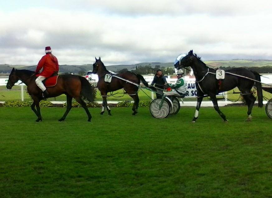 Great Prizes at Northern Southland Trotting Meeting