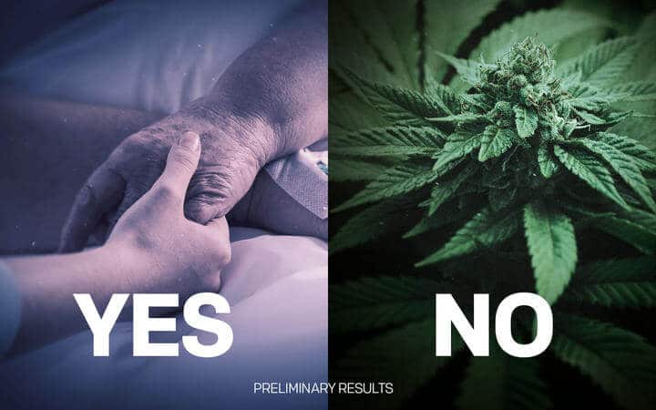 Referendum Preliminary Results: Yes To Euthanasia Reform, No To Cannabis