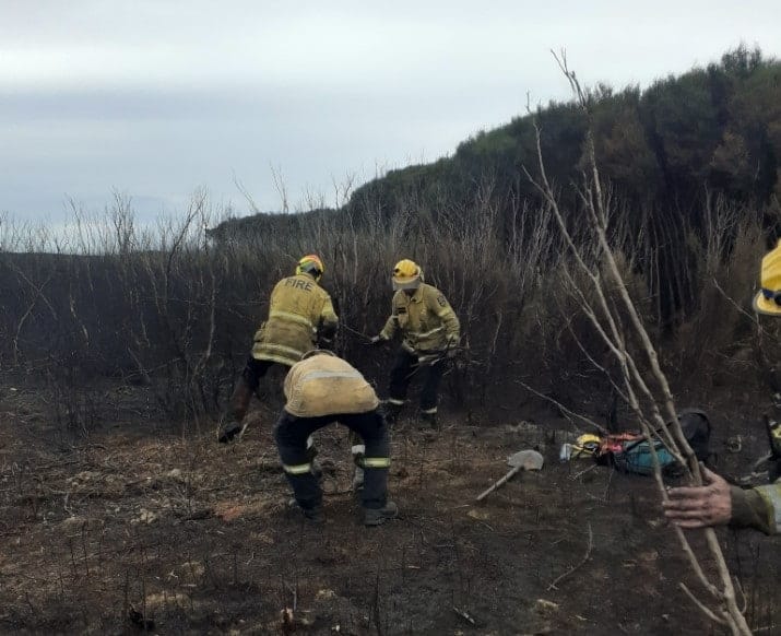 Awarua Fire Update