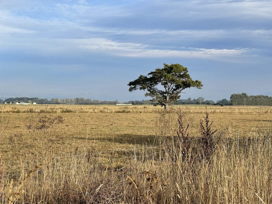 Penny Simmonds: Govt Drought Funding Doesn’t Go Far Enough