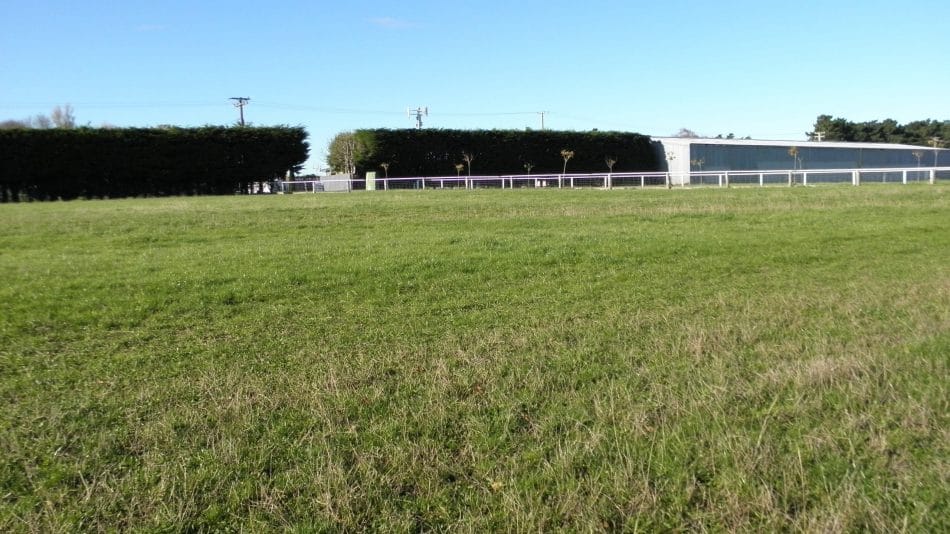 Housing Development At Racecourse To Get Under Way