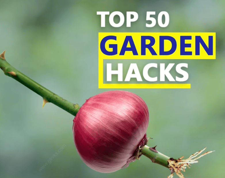 Top 50 Secret Gardening Ideas & Hacks